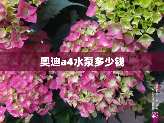 奥迪a4水泵多少钱