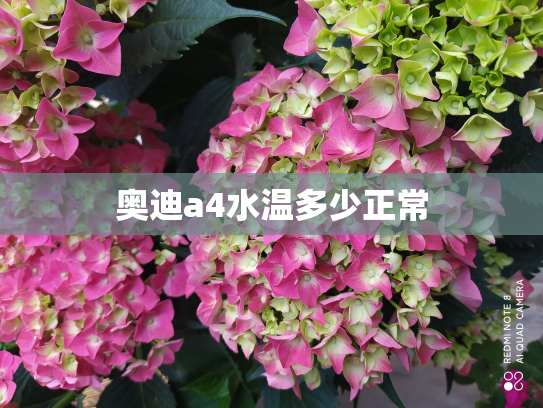 奥迪a4水温多少正常