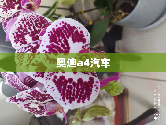 奥迪a4汽车