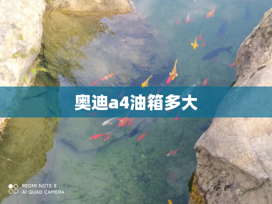 奥迪a4油箱多大