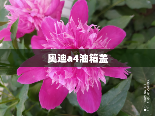 奥迪a4油箱盖