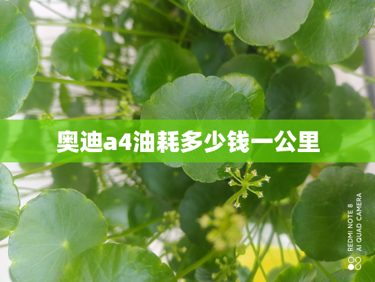 奥迪a4油耗多少钱一公里