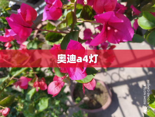 奥迪a4灯