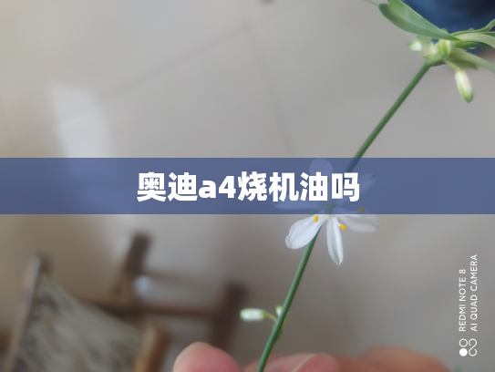 奥迪a4烧机油吗