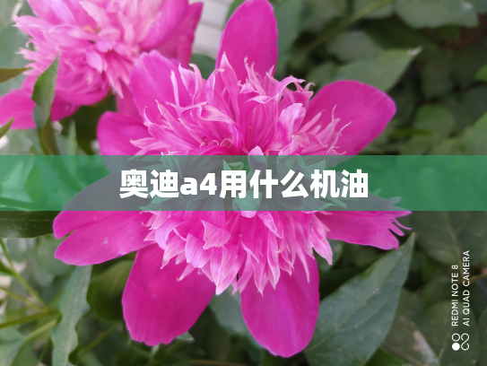奥迪a4用什么机油
