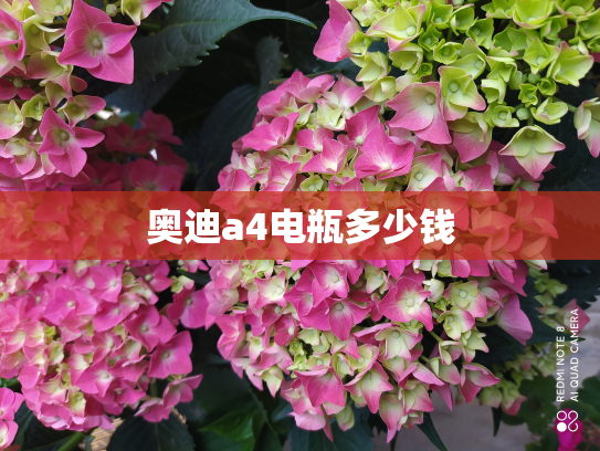 奥迪a4电瓶多少钱