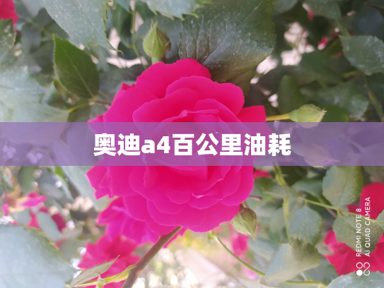 奥迪a4百公里油耗