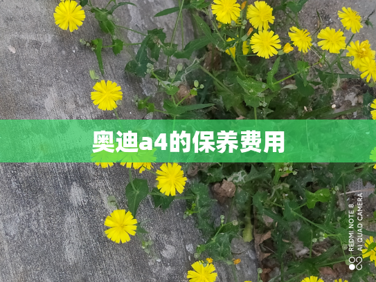 奥迪a4的保养费用