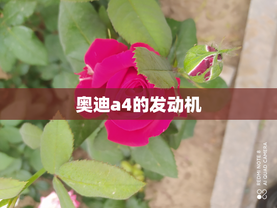 奥迪a4的发动机
