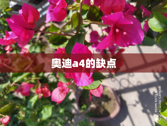 奥迪a4的缺点