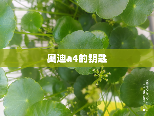 奥迪a4的钥匙