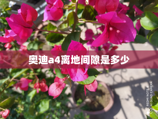 奥迪a4离地间隙是多少