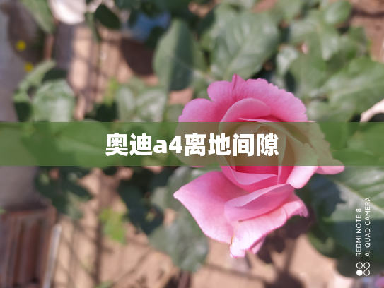奥迪a4离地间隙