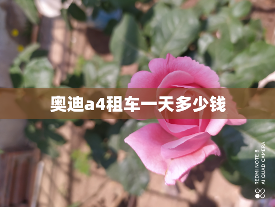 奥迪a4租车一天多少钱