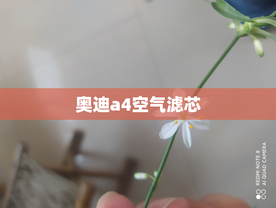 奥迪a4空气滤芯