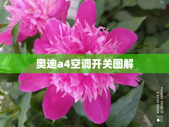 奥迪a4空调开关图解