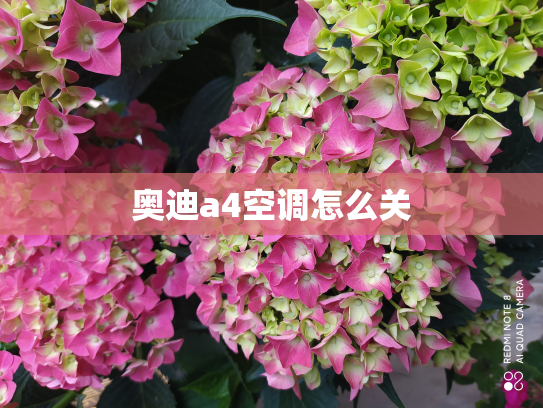 奥迪a4空调怎么关