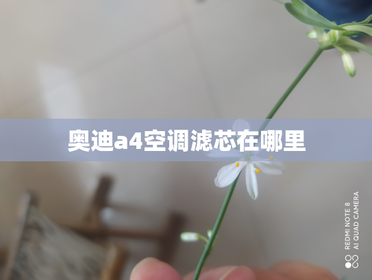 奥迪a4空调滤芯在哪里