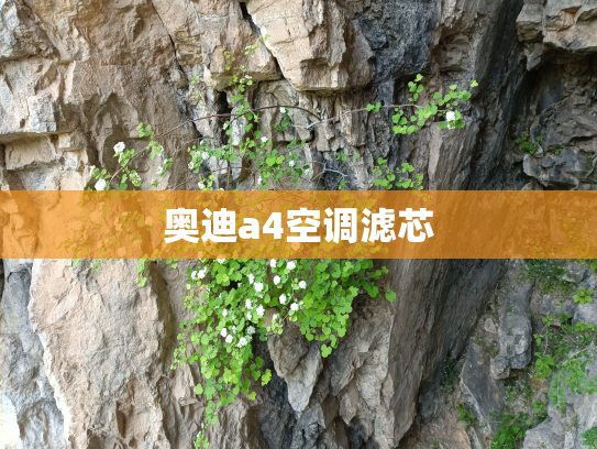 奥迪a4空调滤芯