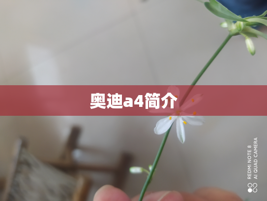 奥迪a4简介