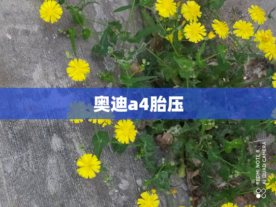 奥迪a4胎压