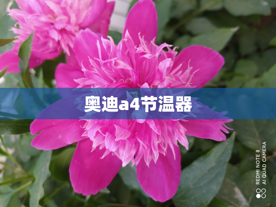 奥迪a4节温器