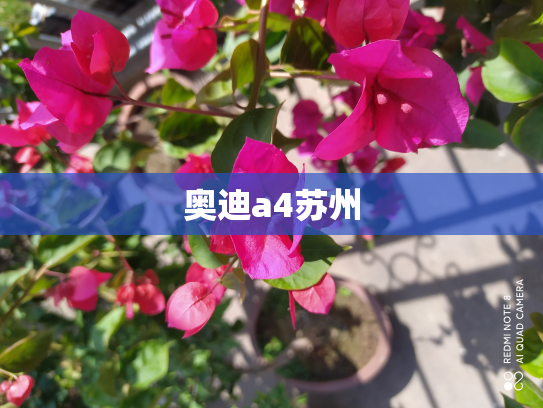奥迪a4苏州