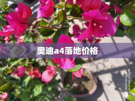 奥迪a4落地价格