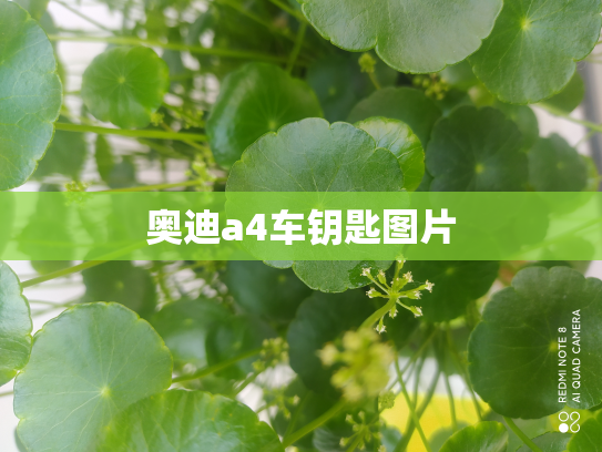 奥迪a4车钥匙图片