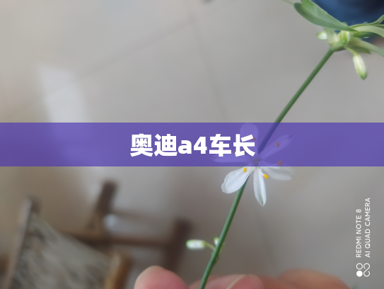 奥迪a4车长
