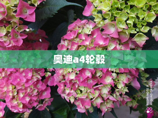 奥迪a4轮毂