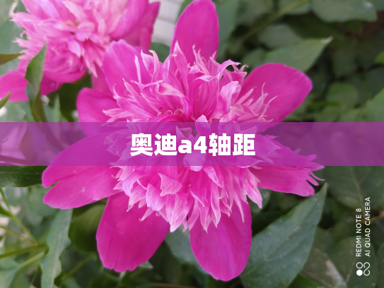 奥迪a4轴距