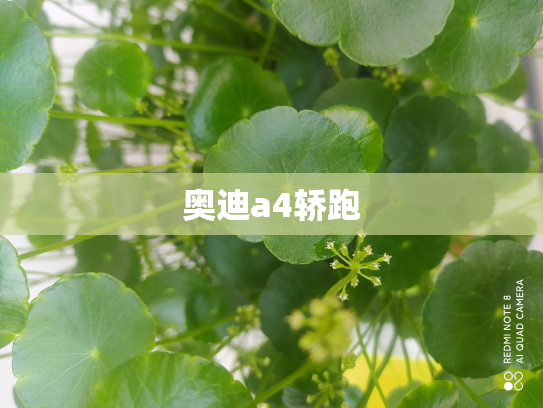 奥迪a4轿跑