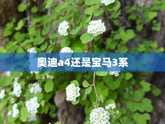 奥迪a4还是宝马3系