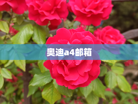 奥迪a4邮箱