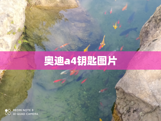 奥迪a4钥匙图片