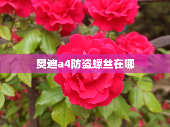 奥迪a4防盗螺丝在哪