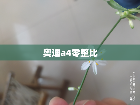 奥迪a4零整比