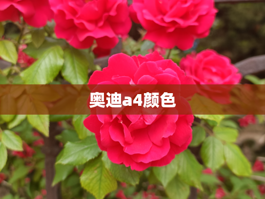 奥迪a4颜色