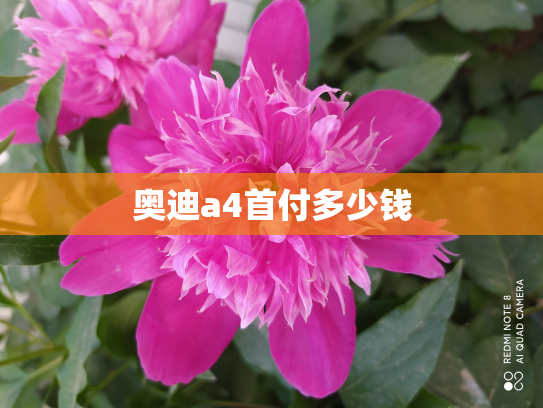 奥迪a4首付多少钱