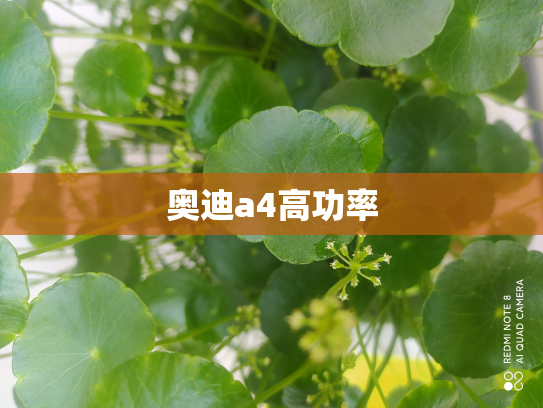 奥迪a4高功率