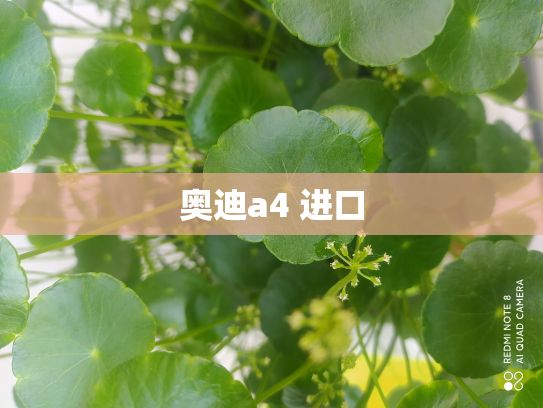 奥迪a4 进口