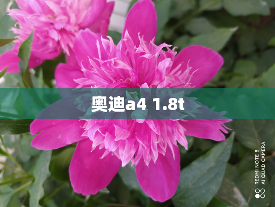 奥迪a4 1.8t