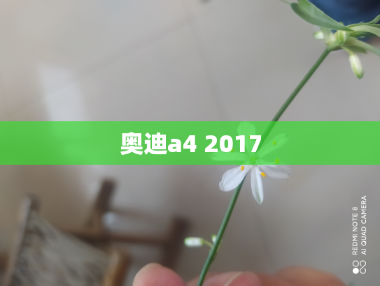 奥迪a4 2017
