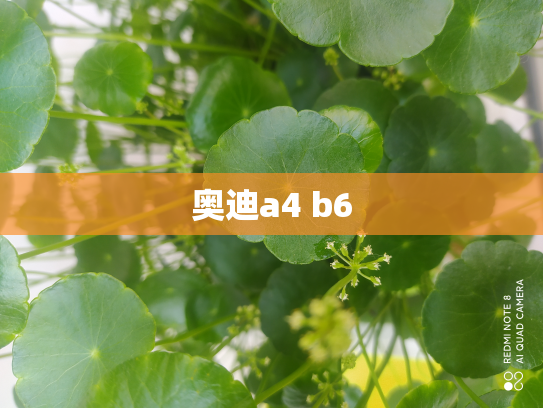 奥迪a4 b6