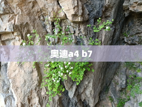 奥迪a4 b7