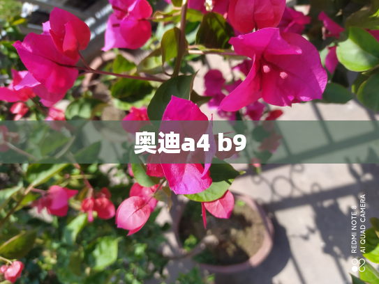奥迪a4 b9
