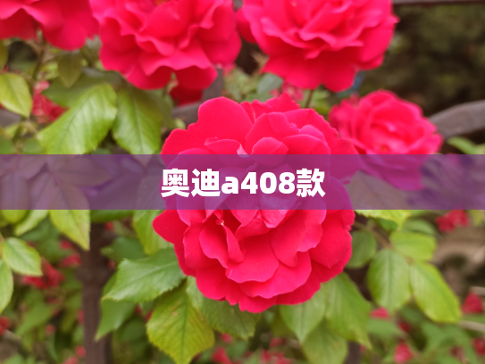 奥迪a408款