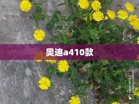 奥迪a410款