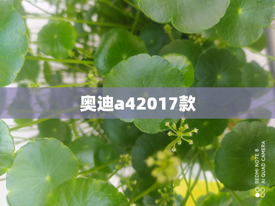 奥迪a42017款